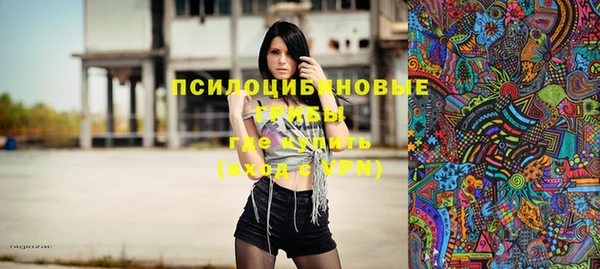дурь Белокуриха
