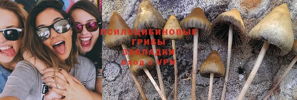 дурь Белокуриха