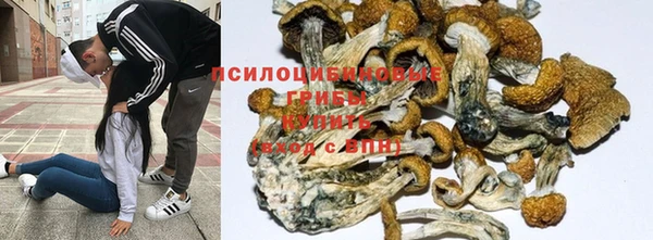 дурь Белокуриха
