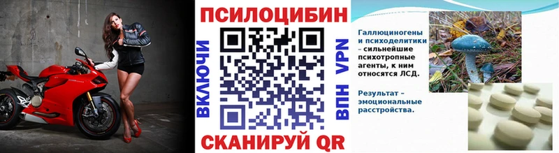 мега ССЫЛКА  Краснокаменск  Псилоцибиновые грибы Psilocybe 